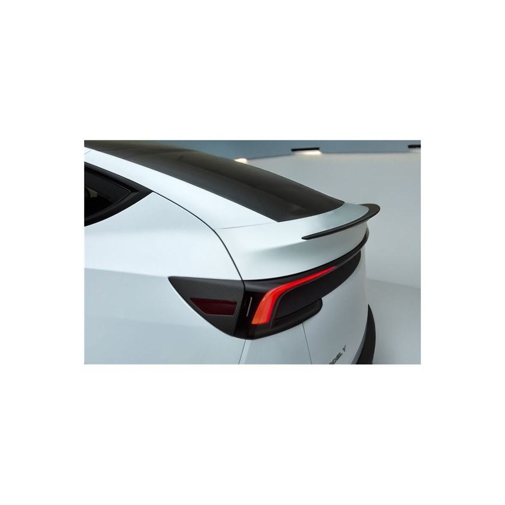 Spoiler em carbono DiscretX — fotografia do produto Green Drive
